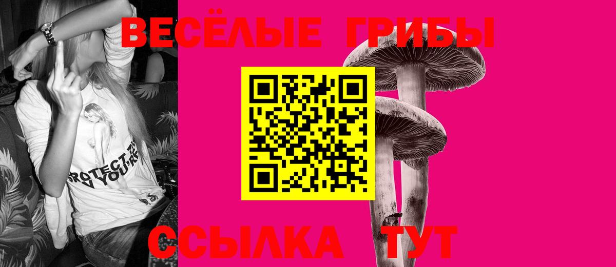 Новокуйбышевск  Галлюциногенные грибы ЛСД  Вход с VPN 